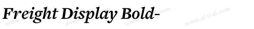 Freight Display Bold字体转换
